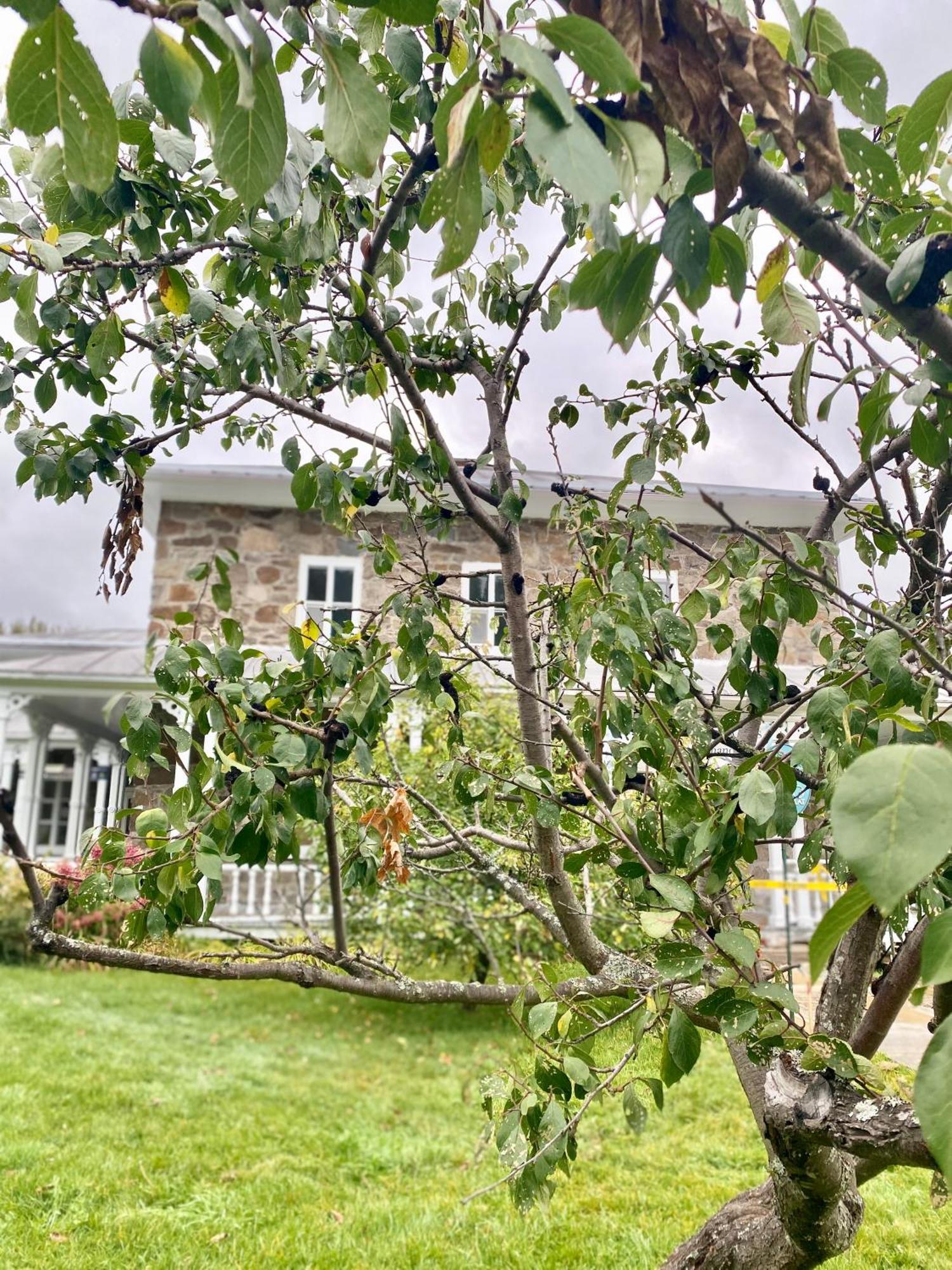 Belle Maison Avec Vue Sur La Riviere LʼAnse-Saint-Jean 외부 사진